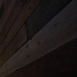 Meet your Posher, Curtis